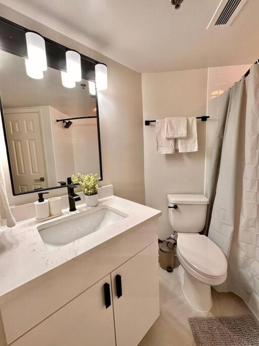 Incredible Apartment With Rooftop In Pentagon City Arlington Exteriér fotografie